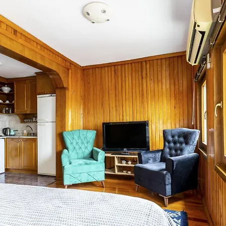 Cozy Flat With Gorgeous Sea View In Beyoglu * 伊斯坦布尔